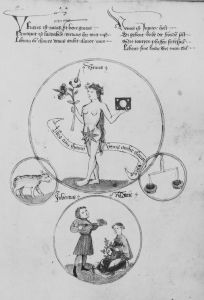 Universitätsbibliothek - M III 36 (olim. V. 1. B. 36/8), fol. 238r - 15th century (second quarter)