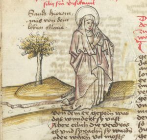 Universitätsbibliothek - germ. qu. 100, fol. 53v - 15th century (third quarter)