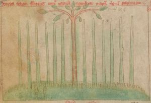Bibliothèque nationale de France - fr. 400, fol. 5v - 14th century (second half)