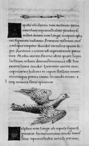 Hyginus p.85r - 15th century