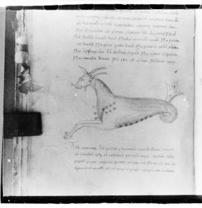 Hyginus p.44v - 15th century