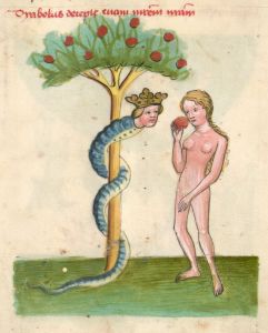 Bayerische Staatsbibliothek - Clm 3003, fol. 2v - 14th century (second half)