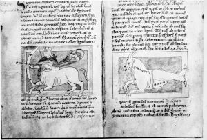 Hopwoode, Radulphus p.20v-21r - 12th century (middle)