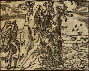 Ovid (Publius Ovidius Naso) - 1564