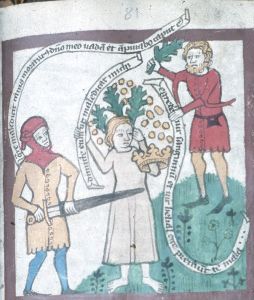 Historisches Archiv - Best. 7020 (W (with asterisk)) 105, fol. 81 - 14th century (second half)