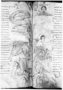 British Library - Royal 13 A XI, fol. 110v-111r - 11th century (fourth quarter)