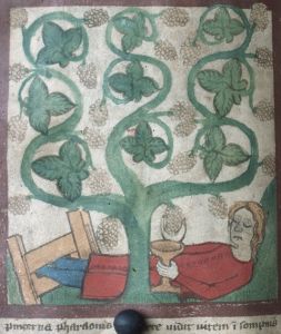 Historisches Archiv - Best. 7020 (W (with asterisk)) 105, fol. 36 - 14th century (second half)