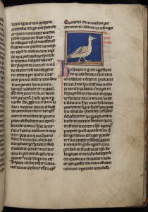 Sidney Sussex College - 100, fol. 22r - 1230 (circa)