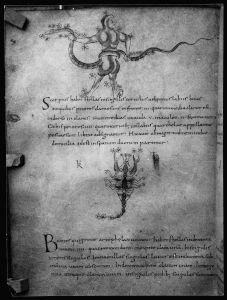 Biblioteca Apostolica Vaticana - Reg. lat. 309, fol. 92v - 860 (circa)