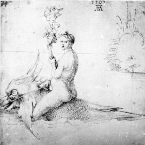 Dürer, Albrecht (1471-1528) - 1503