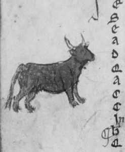 Ovid (Publius Ovidius Naso) p.8v - 13th century (first quarter)