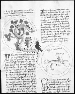 Scot, Michael p.127r - 1436