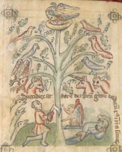 British Library - Sloane MS 361, fol. 26v - 15th century (first half)