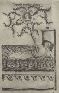 Bibliothèque nationale de France - lat. 9584, fol. 14v - 1370 (circa)