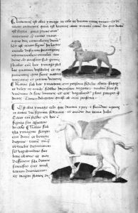 Ludovicus de Angulo p.83v - 15th century (third quarter)