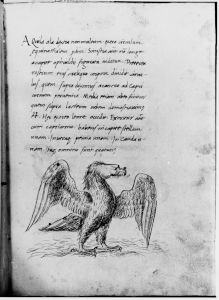 Hyginus p.15r - 15th century