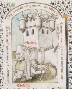 Stiftsbibliothek - Cod. 206(49), fol. 49 - 1450 (circa)