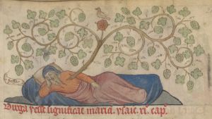 Kongelige Bibliotek - GKS 79 folio, fol. 21r - 1440 (circa)