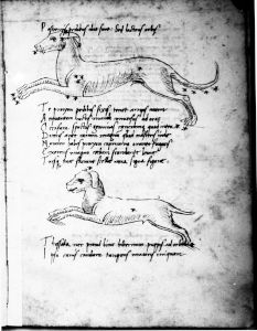 Basinio da Parma (Basinius Parmensis) p.14r - 15th century (second half)