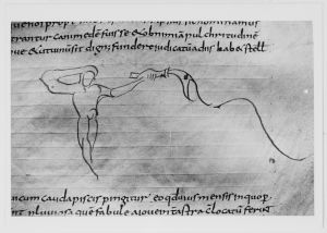 Dombibliothek - 83 II, fol. 163r - 798