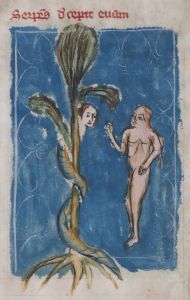 Stiftsbibliothek - Cod. 101, fol. 4r - 14th century (late)