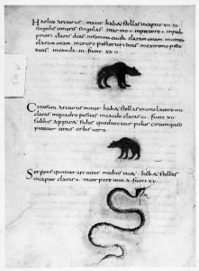 Biblioteca Nacional de España - 3307, fol. 54v - 820 (circa)