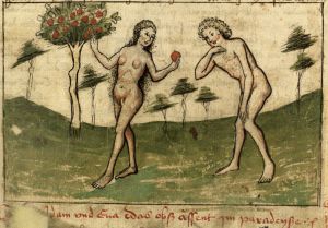 Provinzialbibliothek - 2 Ms. 46, fol. 5r - 1415 (circa)