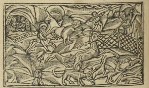 Ovid (Publius Ovidius Naso) p.41v - 1532