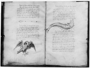 Hyginus p.52v-53r - 15th century (second quarter)
