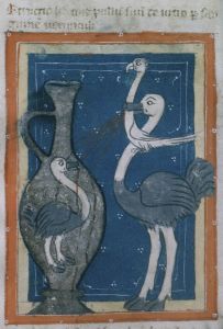 Biblioteca Corsiniana - 55.K.2 (Rossi 17), fol. 38r - 14th century (first half)
