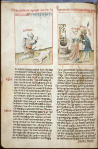 Public Library - Spencer 15, fol. 8v - 1420 (circa)