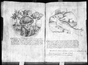 Scot, Michael p.104v-105r - 15th century