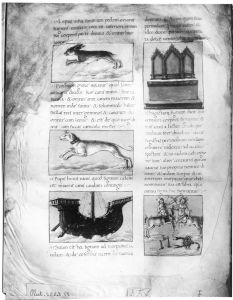 Palmieri, Matteo p.45v - 15th century (second half)