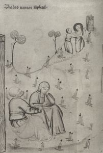 Bibliothèque nationale de France - lat. 9584, fol. 11v - 1370 (circa)