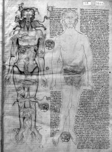 Serapion, Ibn p.116r - 13th century (late)
