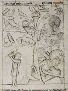 Bodleian Library - Douce 204, fol. 24r - 1430 (circa)