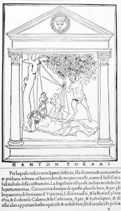Colonna, Francesco p.33r - 1499