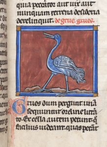 Sidney Sussex College - 100, fol. 16r - 1230 (circa)