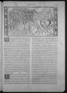 Ovid (Publius Ovidius Naso) p.18r - 1517