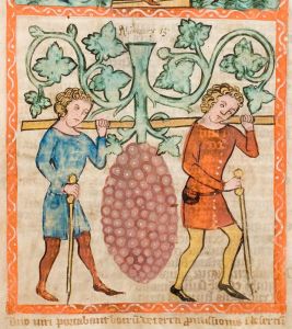 Universitäts- und Landesbibliothek - Hs 2505, fol. 41r - 1360 (circa)