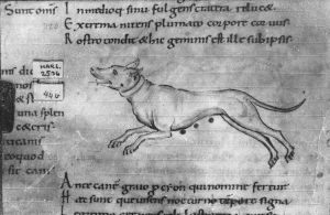 Cicero p.44v - 994 (circa)