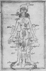 French - 1401