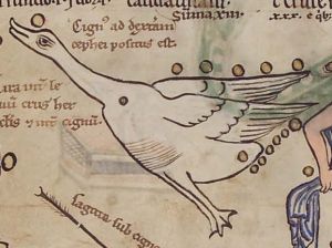 Herzog August Bibliothek - Cod. Guelf. 1 Gud. Lat., fol. 63r - 12th century (middle)