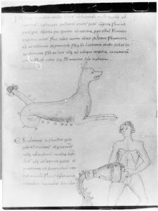 Hyginus p.46r - 15th century