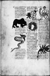 Österreichische Nationalbibliothek - Cod. 12600, fol. 23v - 1150 (circa)