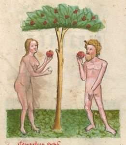 Bayerische Staatsbibliothek - Clm 3003, fol. 3r - 14th century (second half)