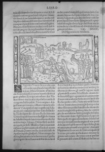 Ovid (Publius Ovidius Naso) p.75v - 1517