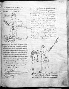 Stiftsbibliothek - 902, fol. 85 - 9th century (second half)