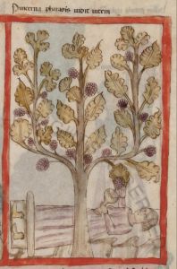 Biblioteca Apostolica Vaticana - Reg. lat. 99, fol. 10v - 1428