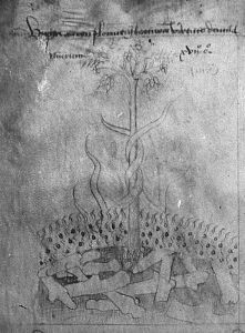 Biblioteca Nazionale Universitaria - I.II.11, fol. 10v - 15th century (second quarter)